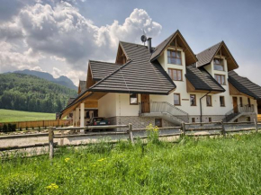 Willa Mnich Zakopane
